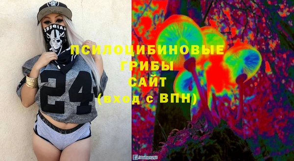 соль ск Алзамай