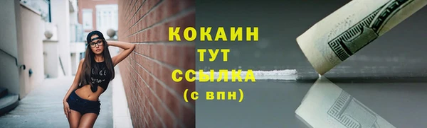 винт Абаза