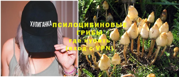первитин Алексеевка