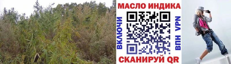 Дистиллят ТГК Wax  OMG tor  Удомля 